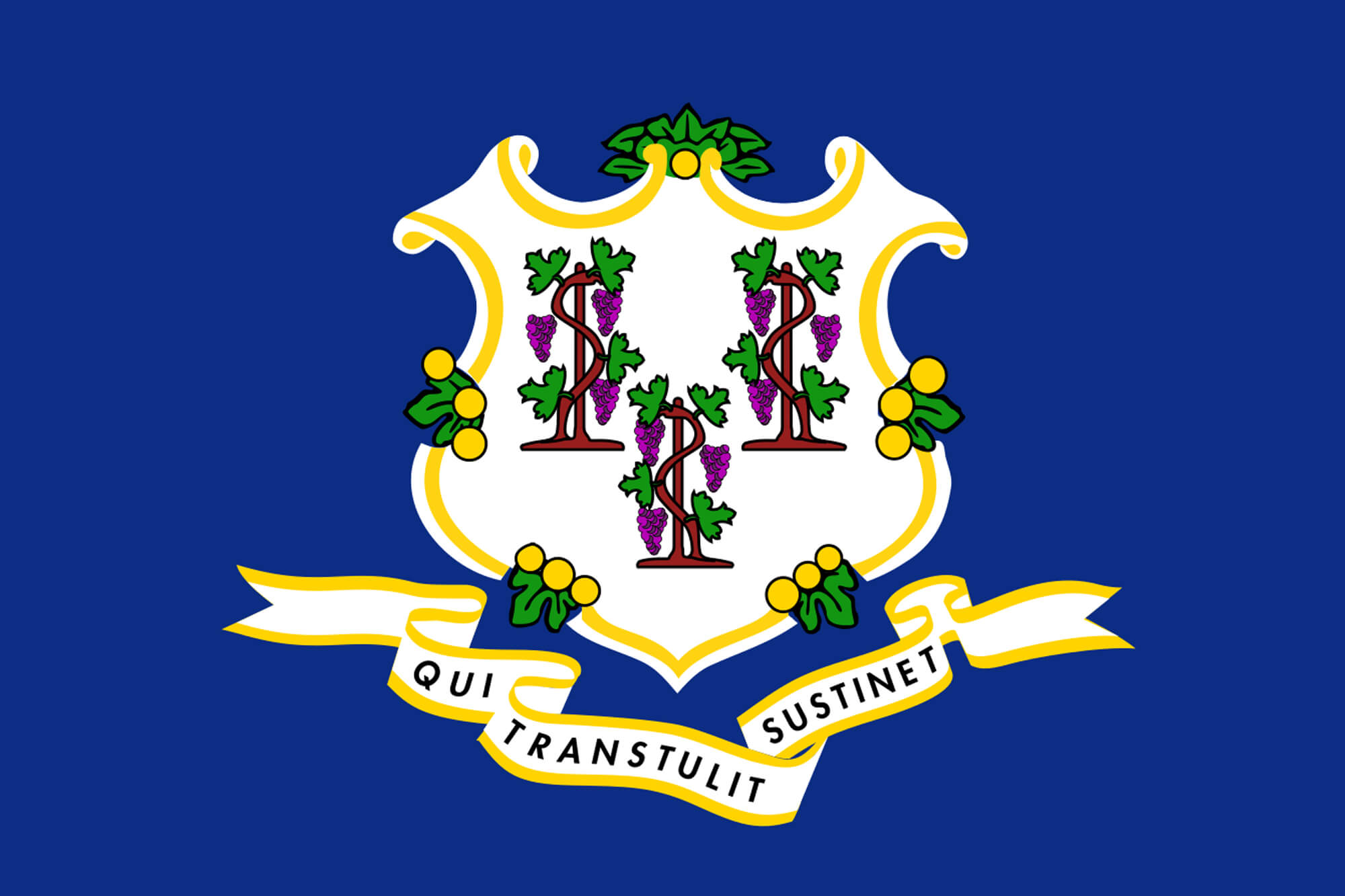 Connecticut flag