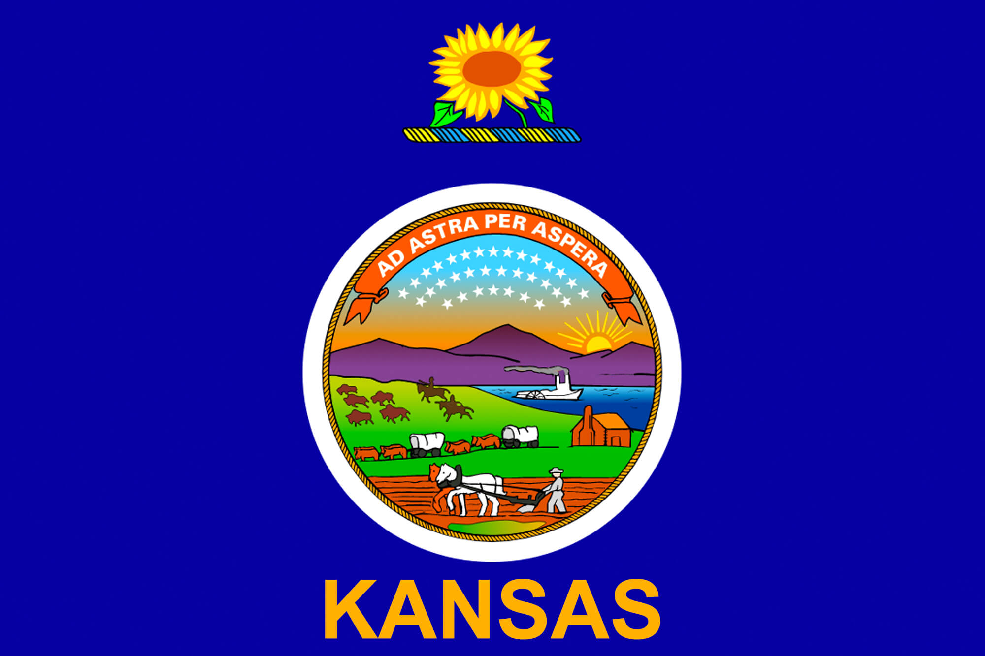 Kansas flag