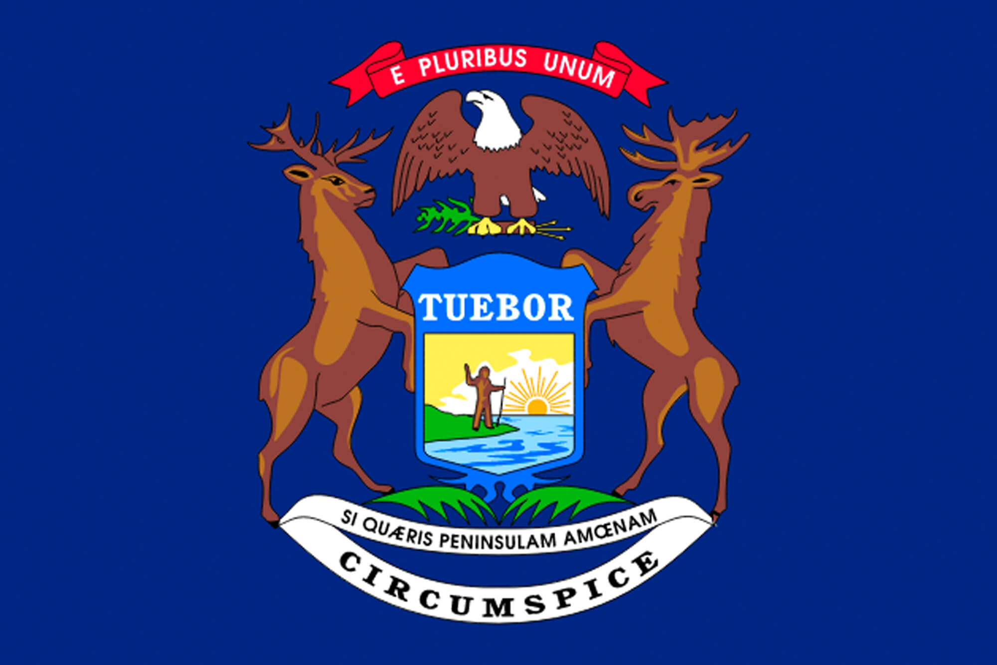 Michigan flag