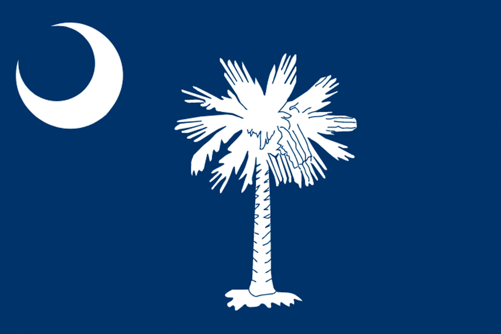 South Carolina flag