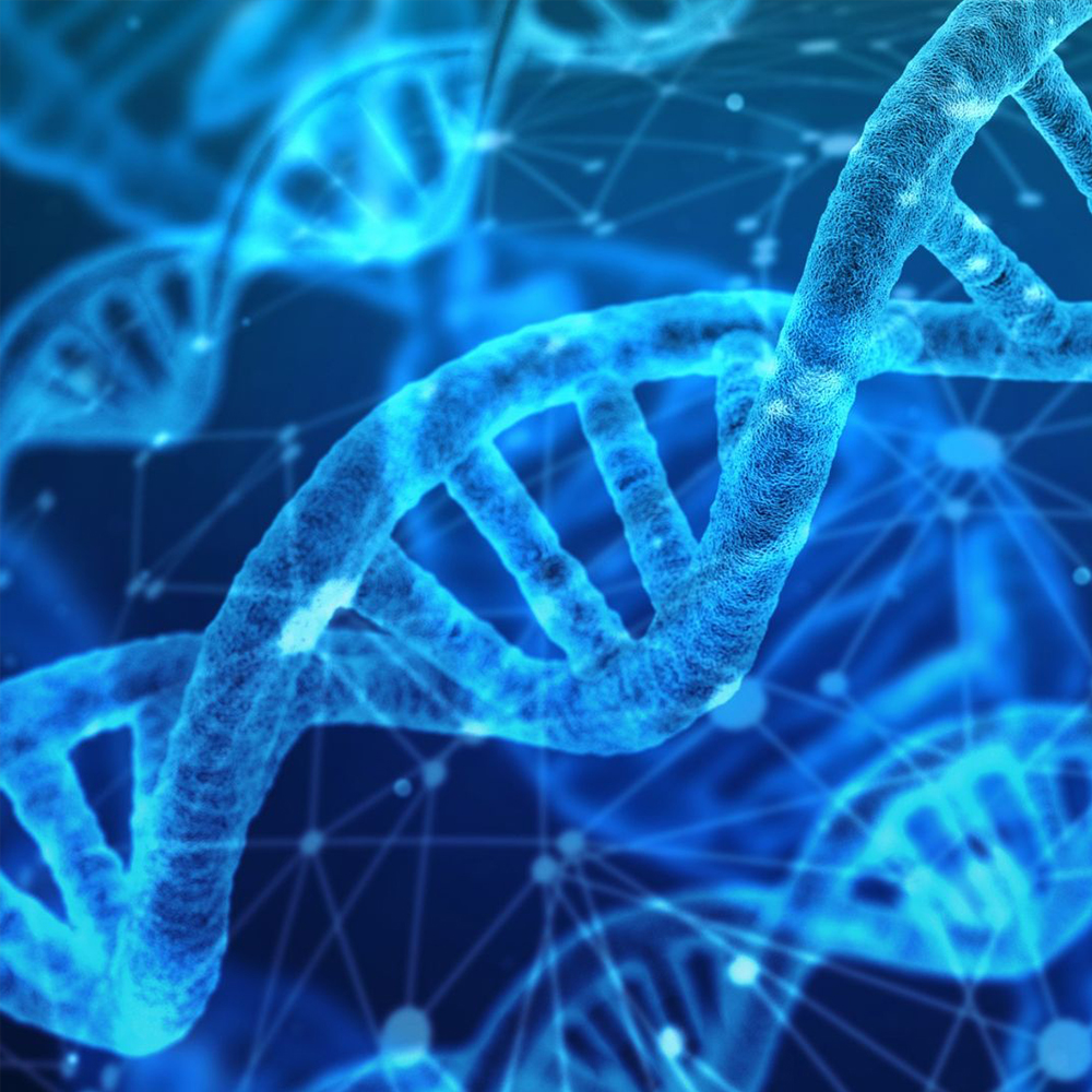 Regenerative medicine